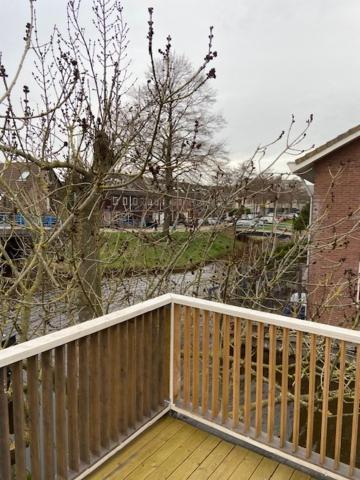 Tinyhouse Woody At The Water Apartment Zaandam Exterior photo