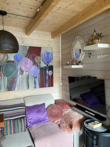 Tinyhouse Woody At The Water Apartment Zaandam Exterior photo