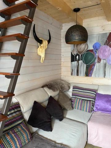 Tinyhouse Woody At The Water Apartment Zaandam Exterior photo